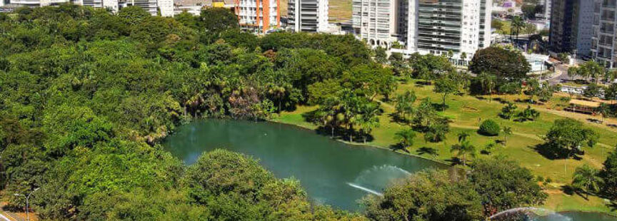 Loja de Pneus Jardim Goias Goiania