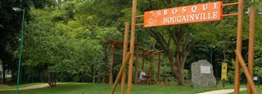 Loja de Pneus Parque das Laranjeiras Goiania