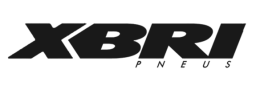 XBRI