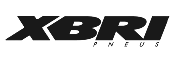 XBRI
